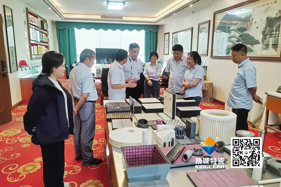 清华大学潘伟教授到访和记娱乐特瓷