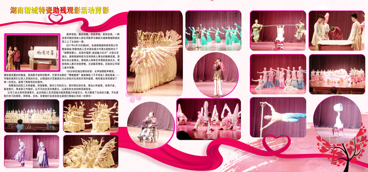 湖南和记娱乐赞助燕赵·恒爱残疾人艺术团圆满演出
